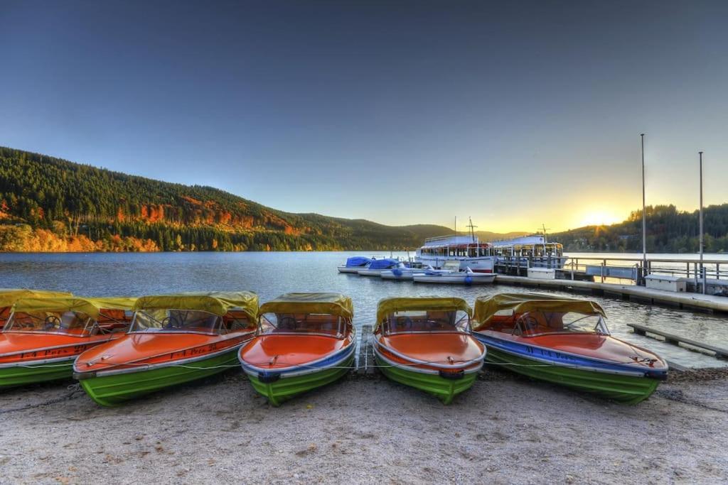 Ferienwohnung Lotti + Hochschwarzwald Card Titisee-Neustadt Dış mekan fotoğraf