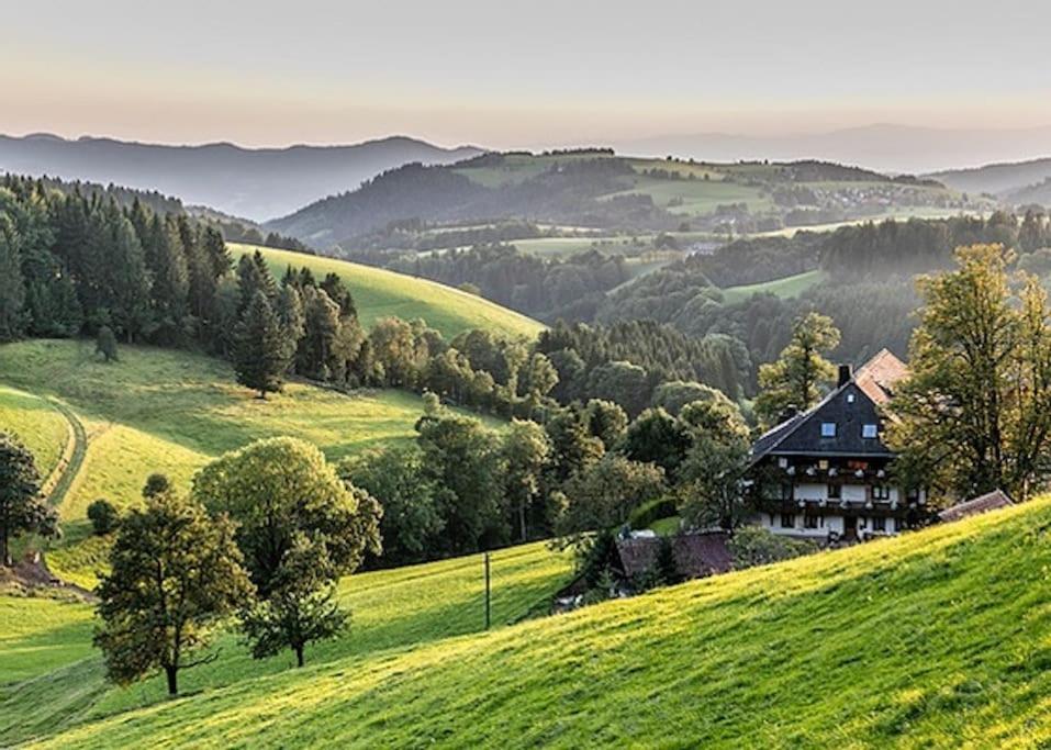 Ferienwohnung Lotti + Hochschwarzwald Card Titisee-Neustadt Dış mekan fotoğraf