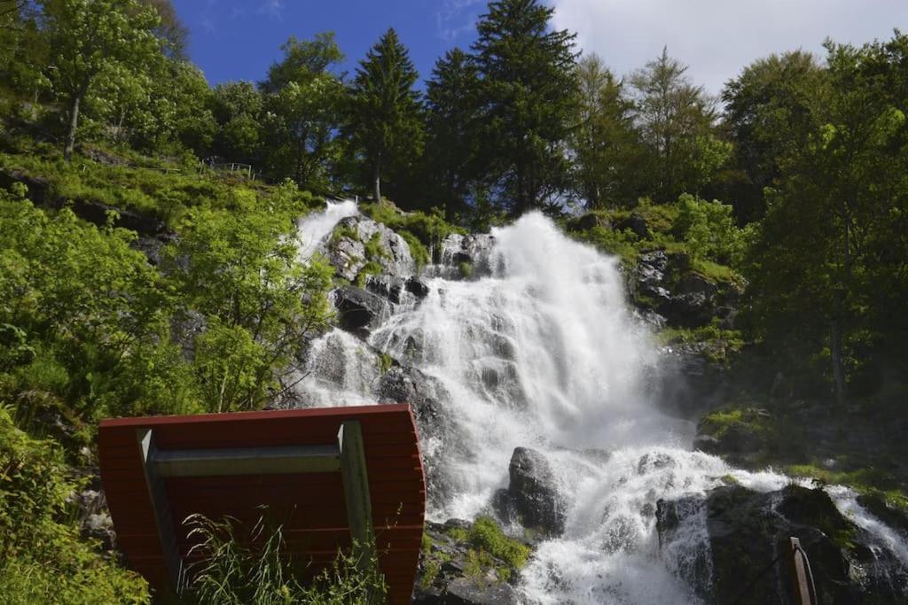 Ferienwohnung Lotti + Hochschwarzwald Card Titisee-Neustadt Dış mekan fotoğraf