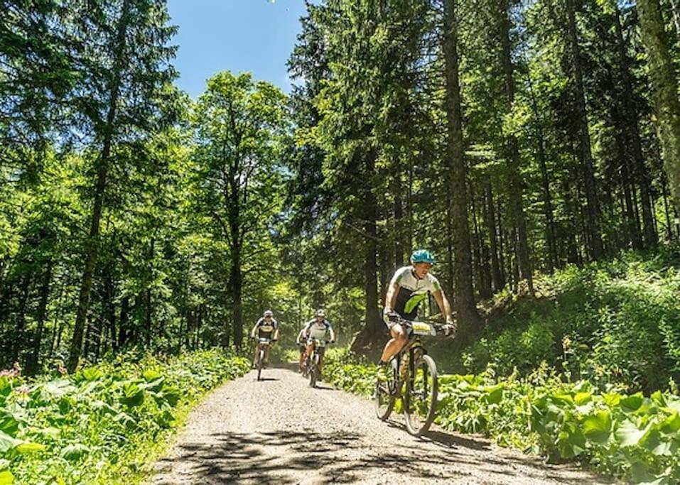Ferienwohnung Lotti + Hochschwarzwald Card Titisee-Neustadt Dış mekan fotoğraf